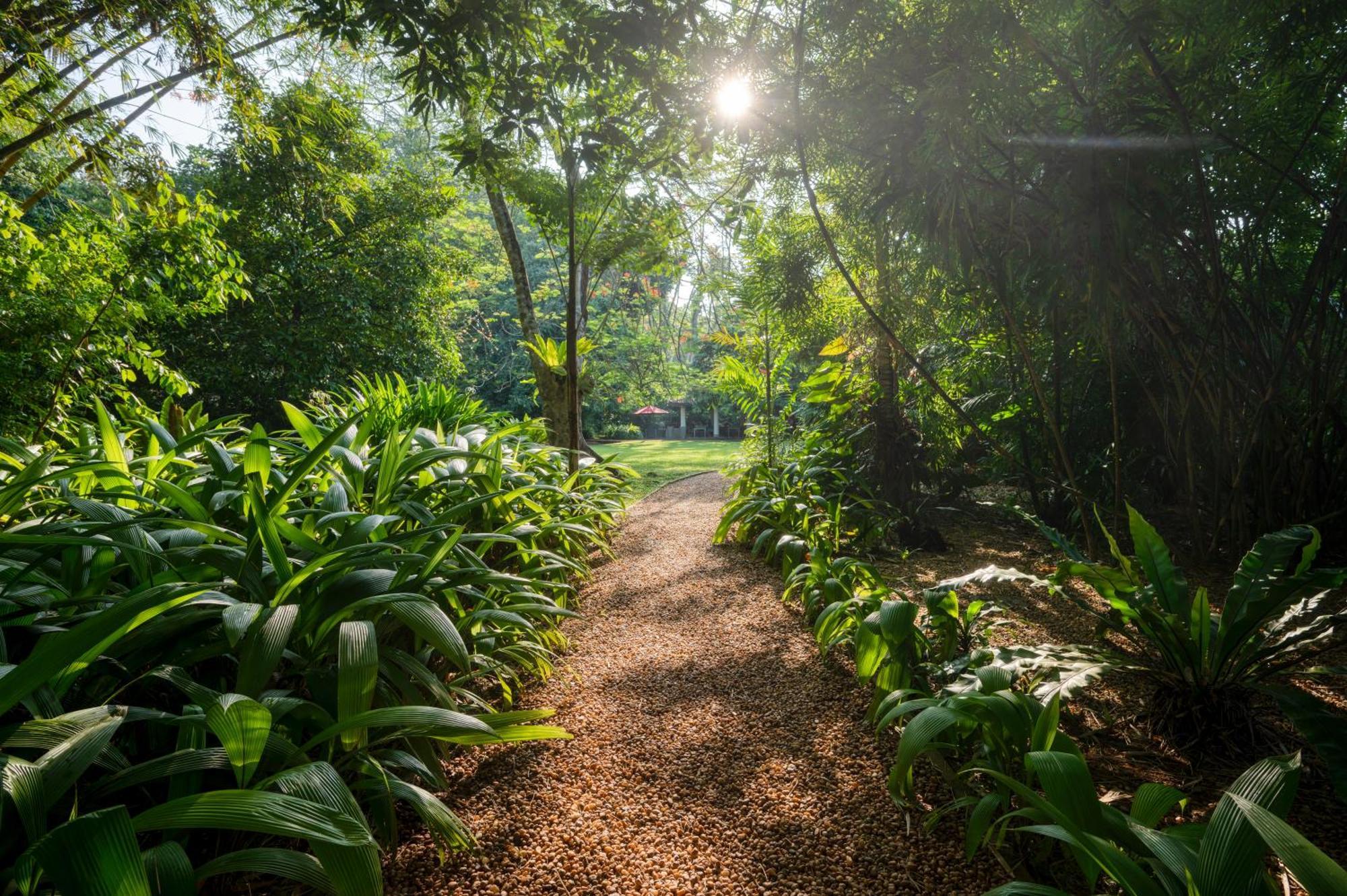 Wallawwa Katunayaka Ngoại thất bức ảnh