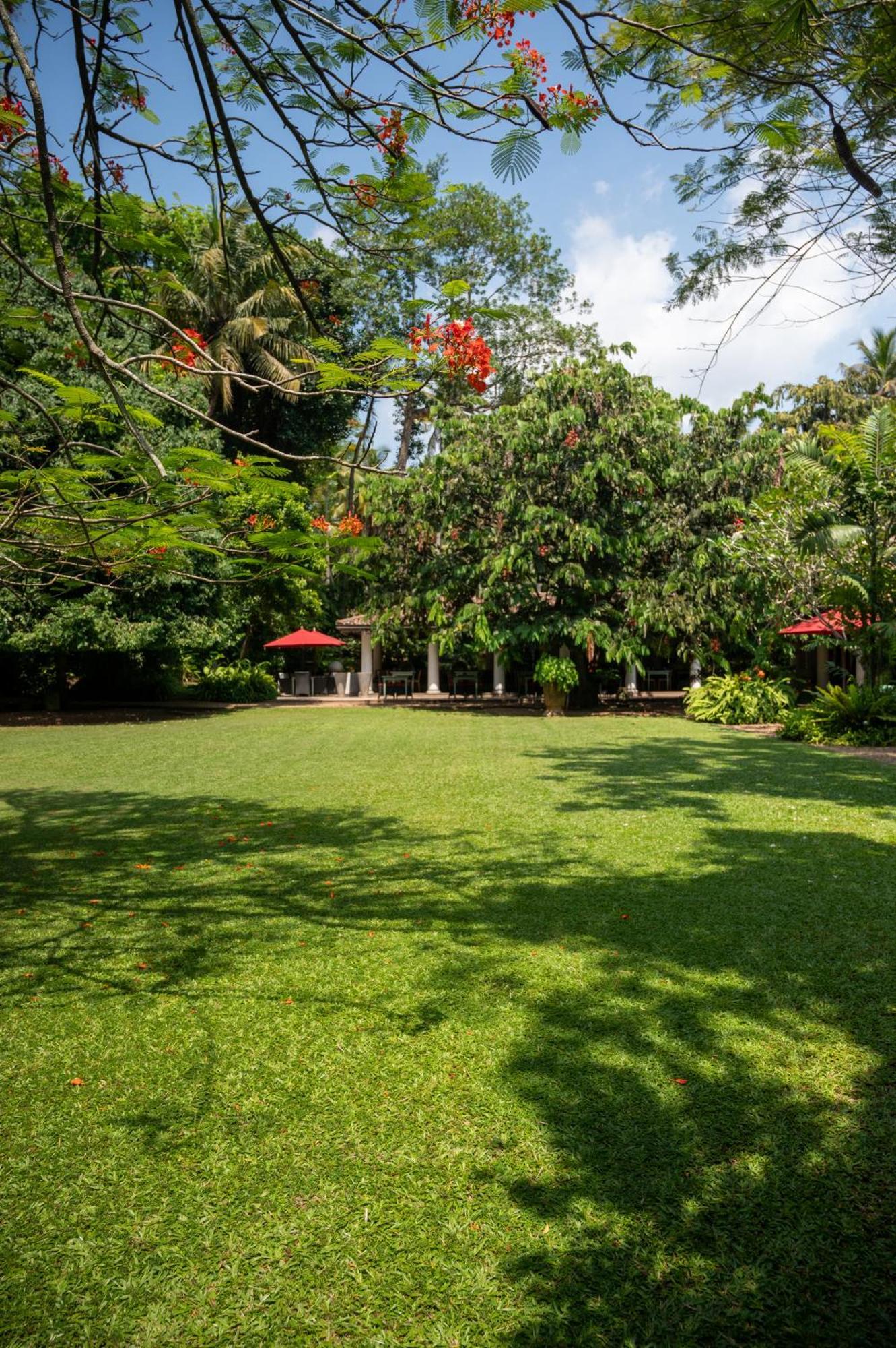 Wallawwa Katunayaka Ngoại thất bức ảnh